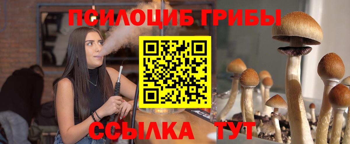 Галлюциногенные грибы мухоморы  Вход с VPN  Богородицк  Галлюциногенные грибы Psilocybine cubensis 